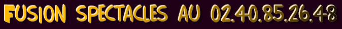 fusion spectacles nous joindre, animation et jeux pour kermesse, animation pour enfant a domicile nantes